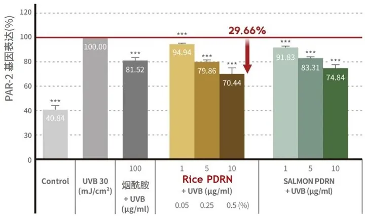 Bar graph showing the impact of Rice PDRN and Salmon PDRN combined with UVB exposure on PAR-2 gene expression. Each column represents different combinations of UVB and PDRN concentrations.